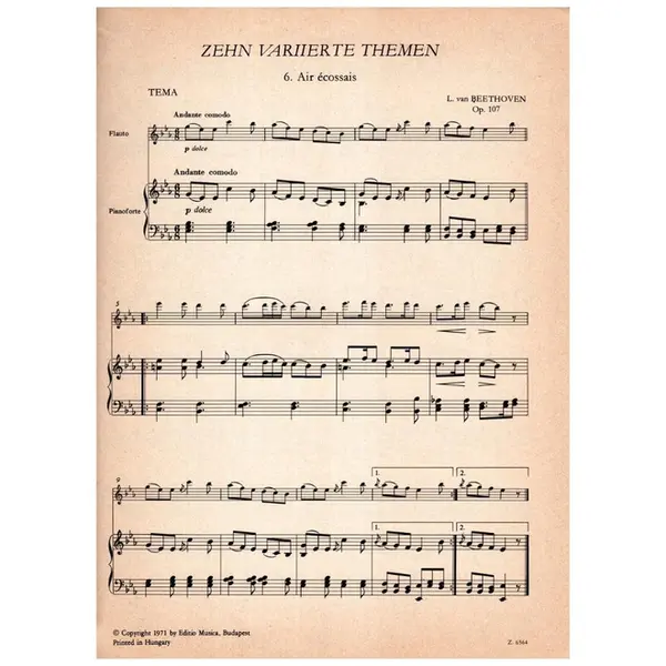 Zehn Variierte Themen fur flute und klavier - Op.107 vol.II