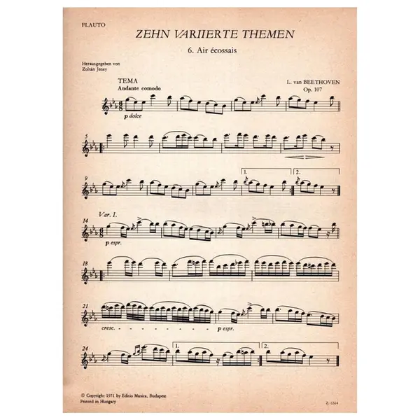 Zehn Variierte Themen fur flute und klavier - Op.107 vol.II