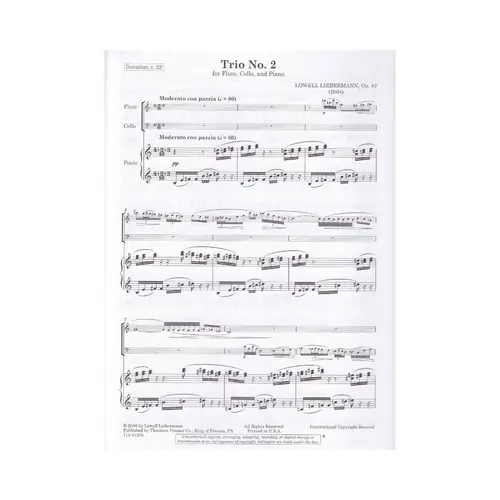 Trio N.2 Op.87