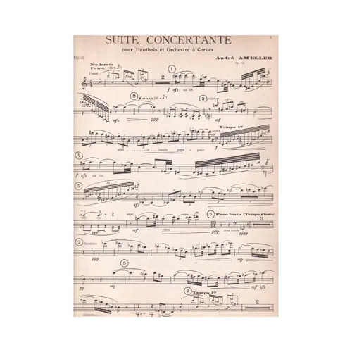 Suite Concertante Pour Hautbois