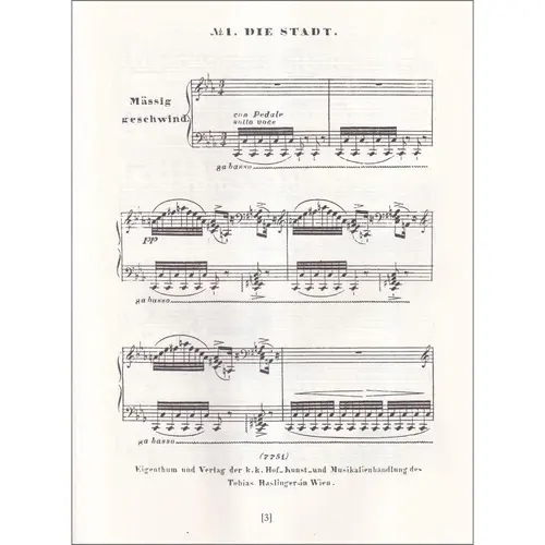 The Schubert Song Transcriptions For Solo Piano - Serie III The Complete Schanengesang