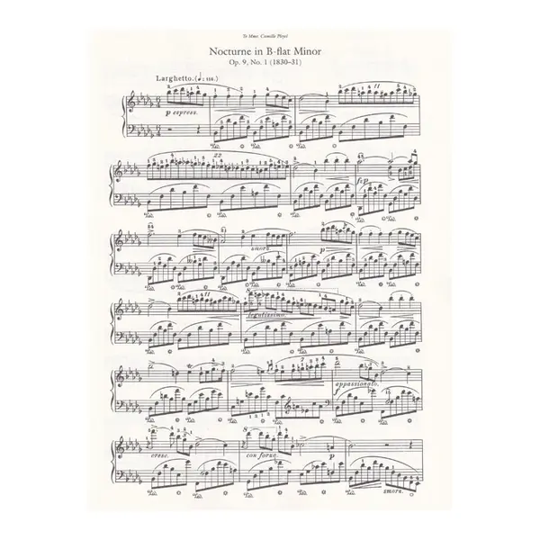 Nocturnes And Polonaises