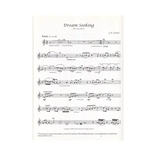 Dream Seeking For Solo Flute