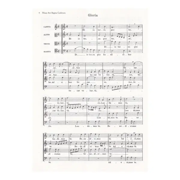 Masses And Motets