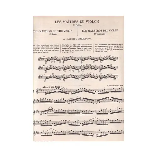 The Masters Of The Violin - Vol.7