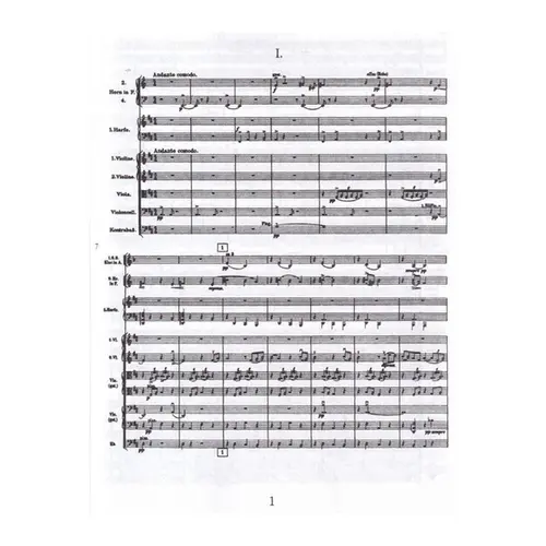 Symphony N.9 - study score