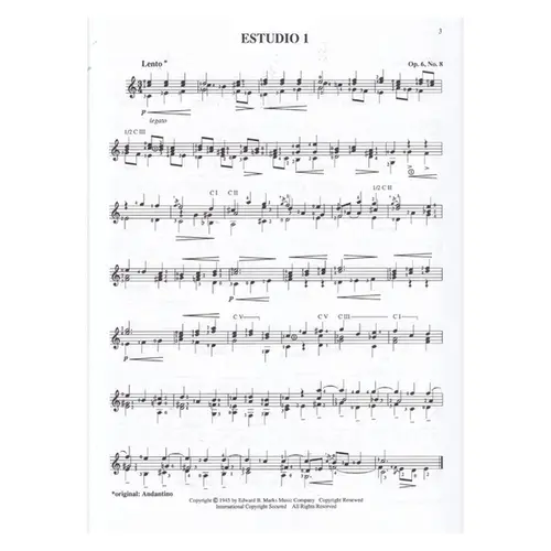 Twenty Studies For The Guitar
