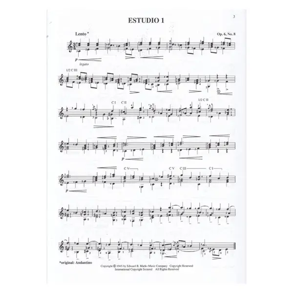 Twenty Studies For The Guitar