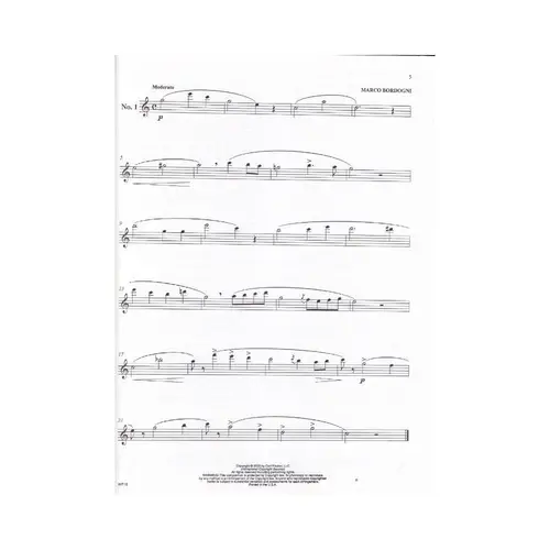 Melodious Etudes For Flute