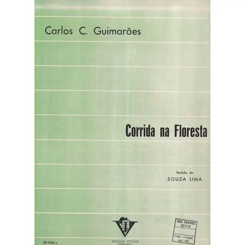 Corrida Na Floresta