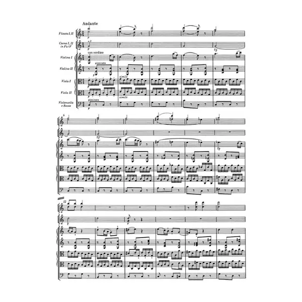 The Symphonies (Die Sinfonien) - 4 Volumes Numa Caixa