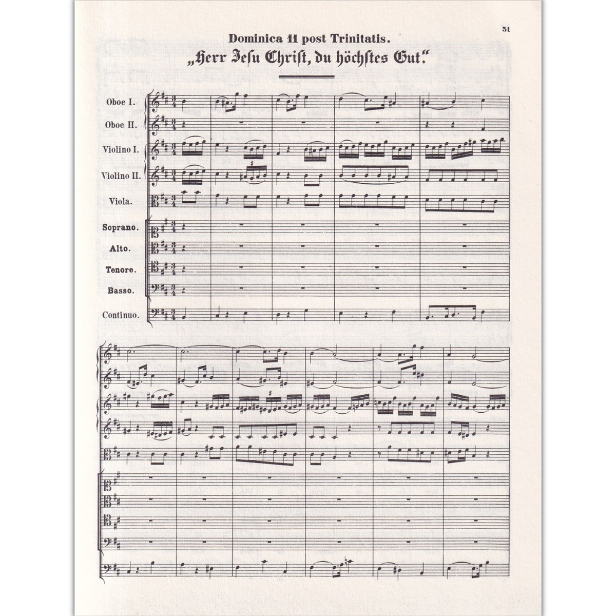 Cantatas N.173 A, 36 B, 36 C (Suplem)-Vol.46 (partitura de bolso