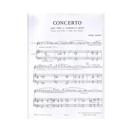 Concerto Pour Flute Et Orchestre A Cordes