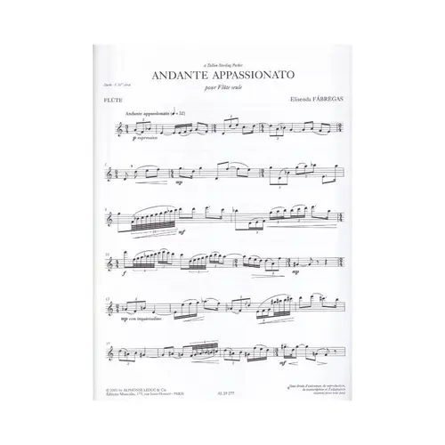 Andante Appassionato Pour Flute Seule