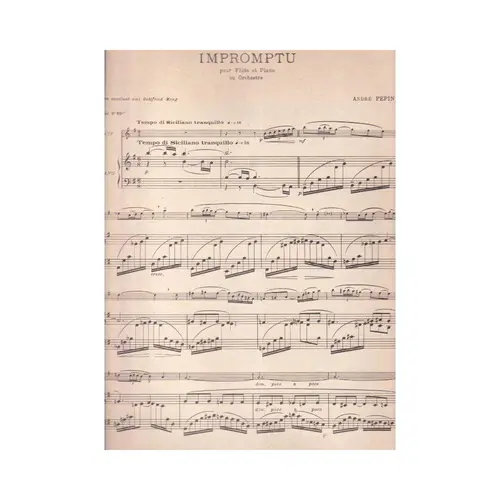 Impromptu Pour Flute Et Orchestre Ou Piano