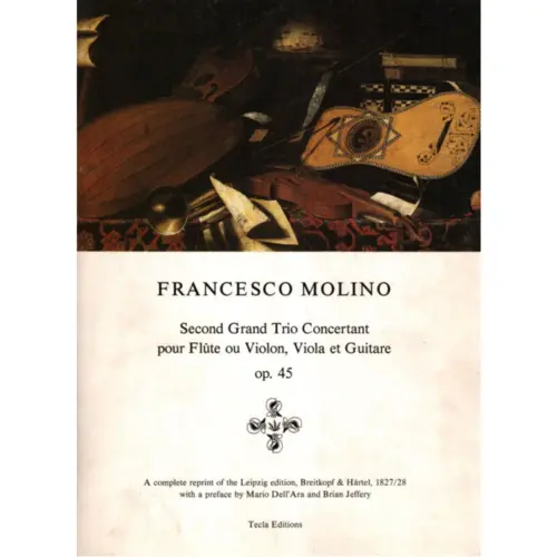 Second Grand Trio Concertant - Op.45