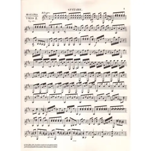 Second Grand Trio Concertant - Op.45