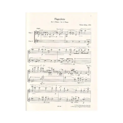 Studien Zum Spielen Neuer Musik - Flute