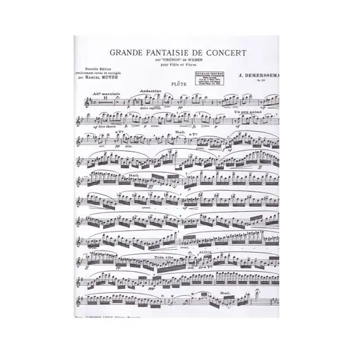 Grande Fantaisie De Concert Op.52